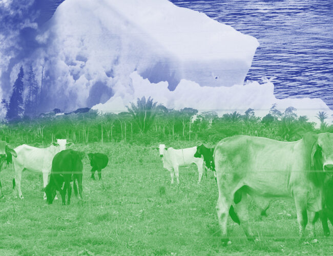 Joio lança editoria sobre colapso climático