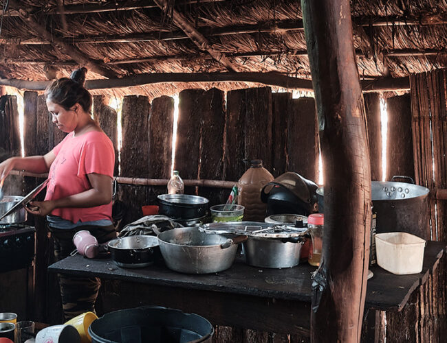 Em território indígena recuperado, condições de vida melhoram, mas fome persiste 