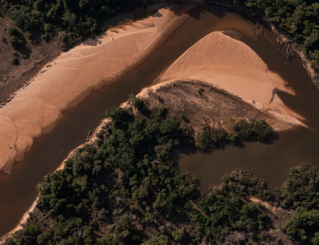 No encontro entre a Amazônia e o Cerrado: seca, fome e veneno