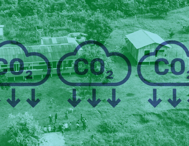 Projetos de carbono acirram conflitos de terra em territórios tradicionais