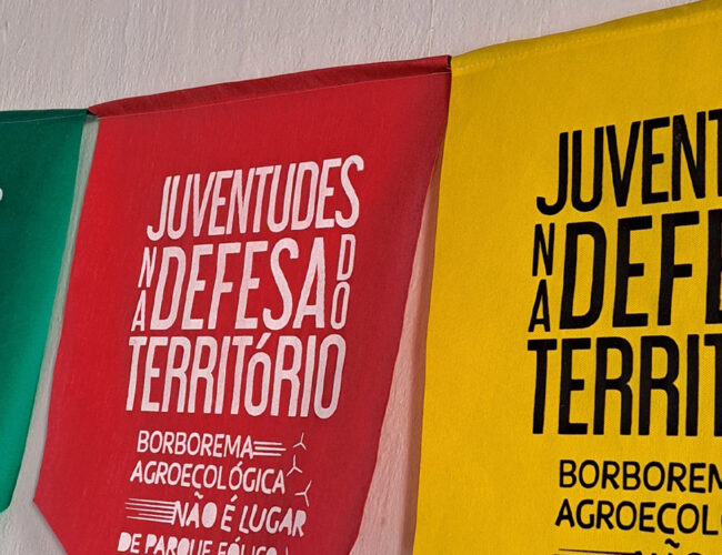 Mulheres resistem e fazem agroecologia no Polo da Borborema