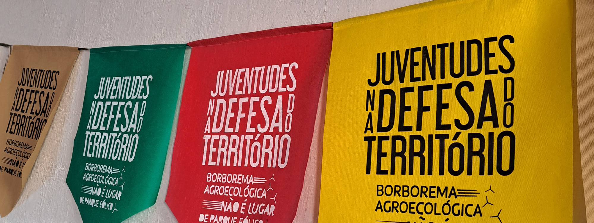 Mulheres resistem e fazem agroecologia no Polo da Borborema