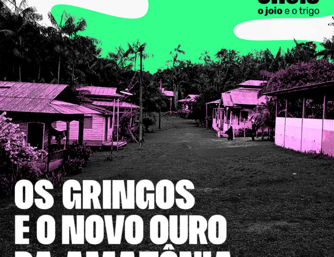 Os gringos e o novo ouro da Amazônia