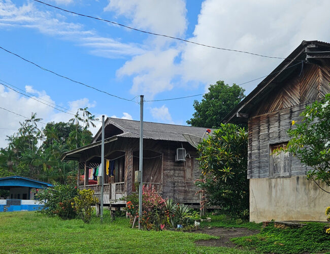 Caubóis do carbono da Inglaterra dirigem projetos com ameaças e controle de terras na Amazônia