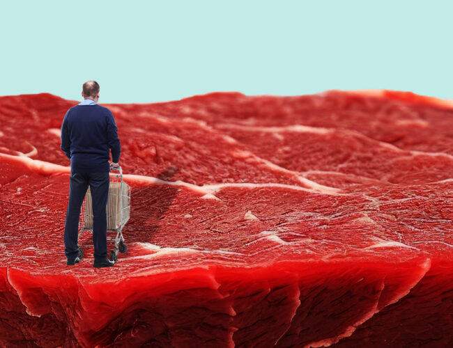 Imposto zero sobre a carne beneficia os mais ricos e prejudica o meio ambiente