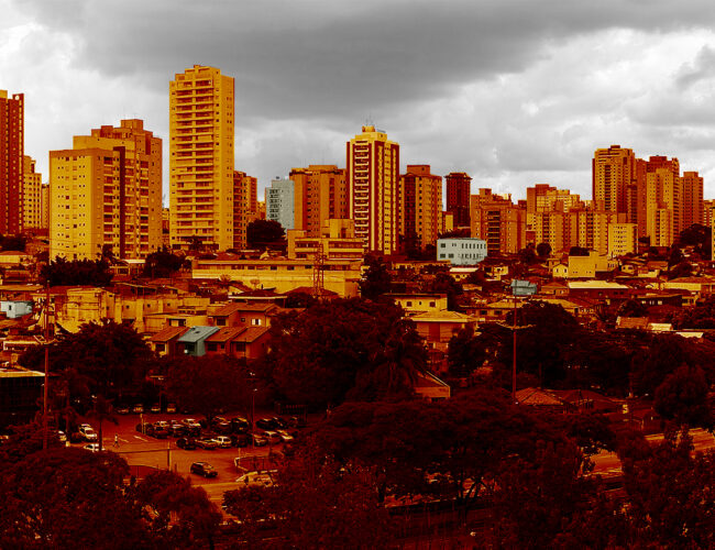 Em São Paulo, dois milhões passam fome e mais da metade vive em insegurança alimentar