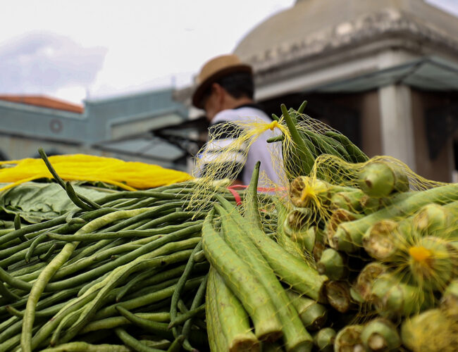 Alimentação na COP30: o que o Brasil vai oferecer ao mundo?