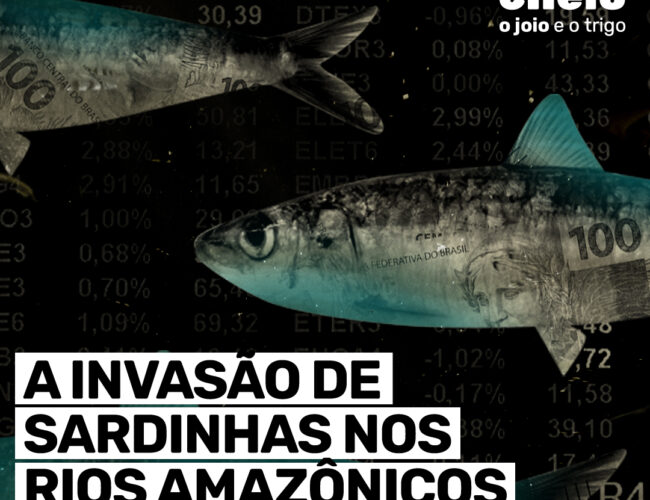 A invasão de sardinhas nos rios amazônicos