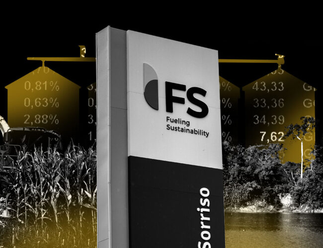 Sem petróleo, carvão, gás… e floresta: títulos “verdes” atraem investidores para negócios insustentáveis