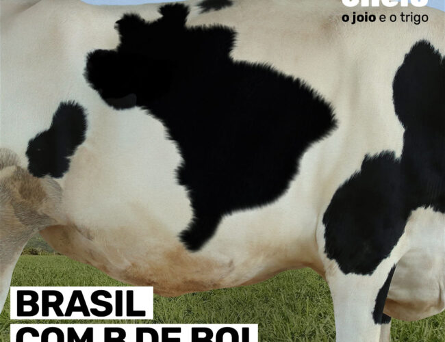 Brasil com B de Boi