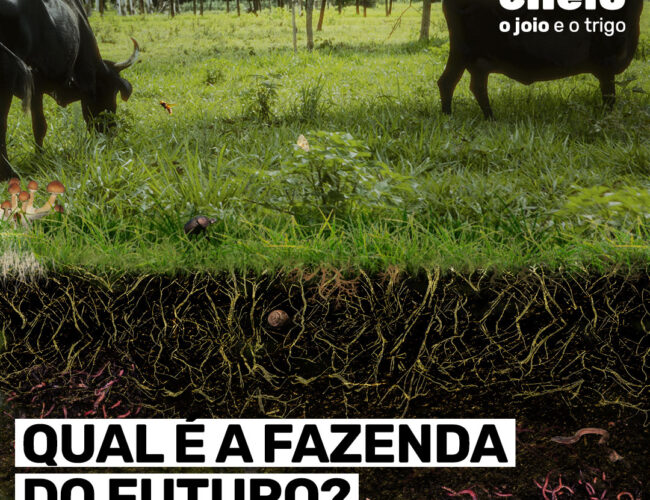 Qual é a fazenda do futuro?