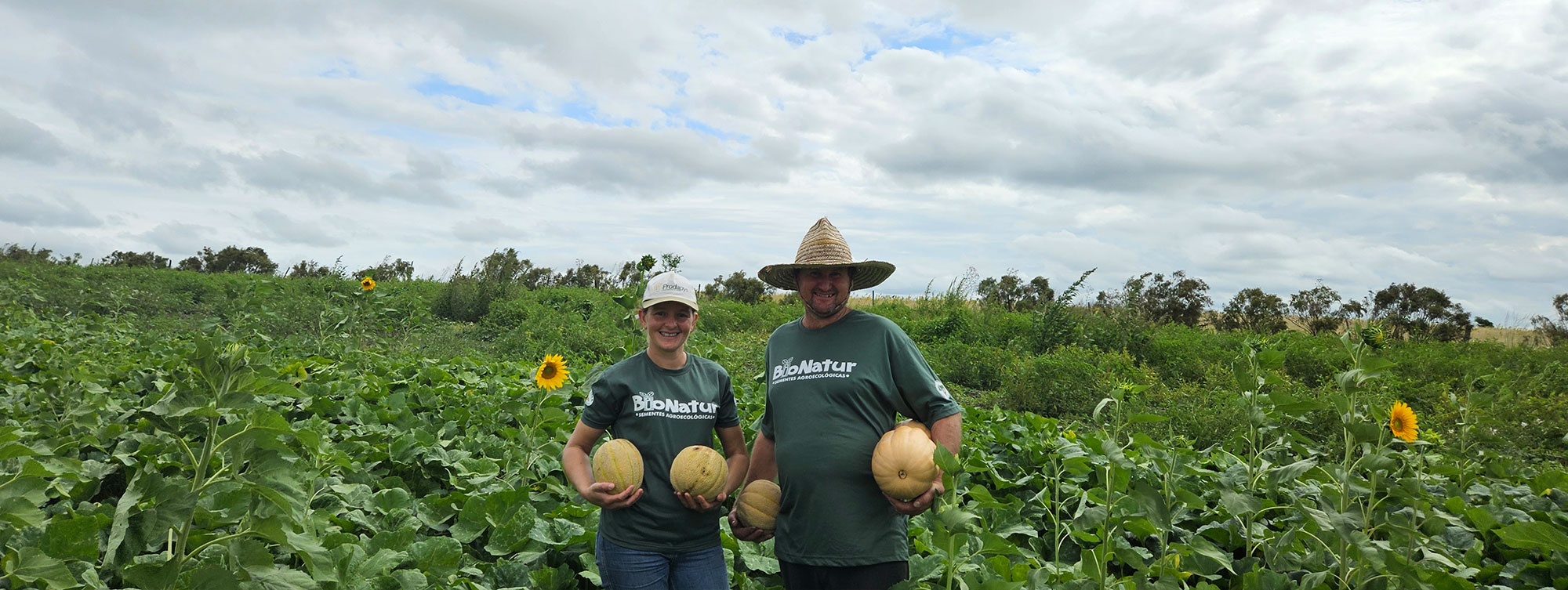 MST é o único a produzir sementes de hortaliças agroecológicas no Brasil