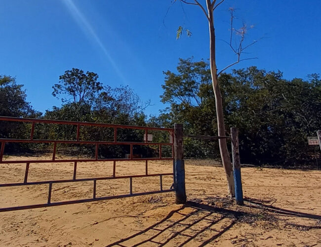 Empresa do banco BTG Pactual compra terras griladas em comunidade na Bahia