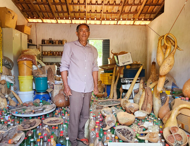 The Seed Guardian of the Caatinga