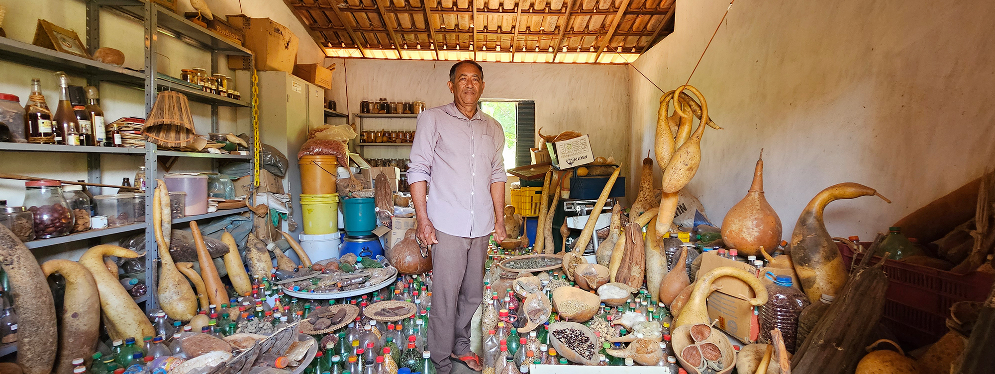 O guardião de sementes da Caatinga