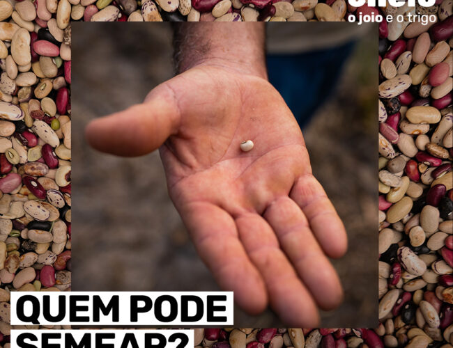 Quem pode semear?