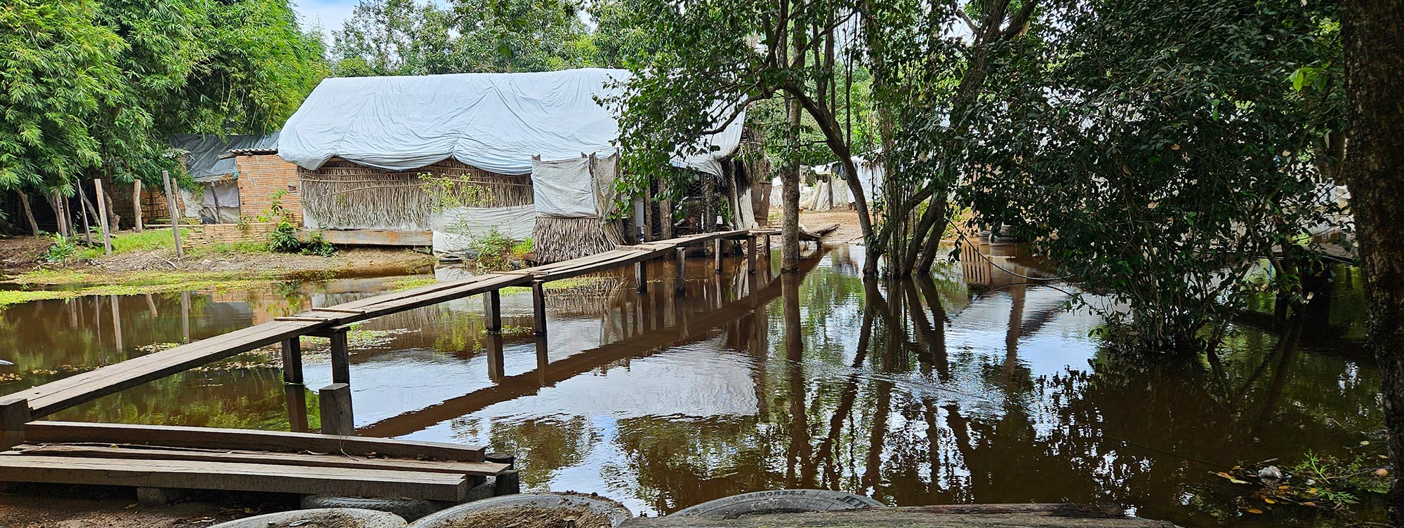 Empresa do agronegócio coleciona ilegalidades e cerca indígenas no Tocantins
