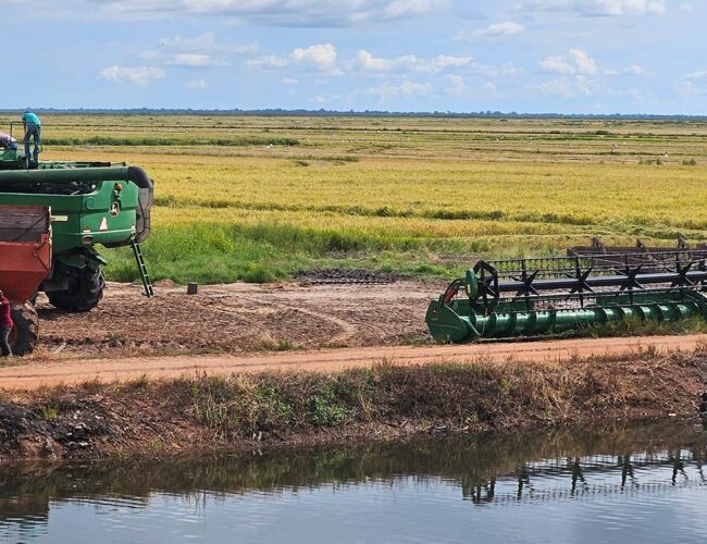 Camponeses vizinhos de projetos de irrigação sofrem com incidência de câncer no Tocantins