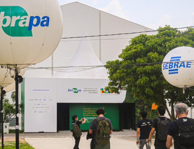 Por trás dos discursos verdes