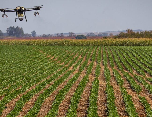 Documento do agro para a COP 30 ignora saúde humana e desmatamento