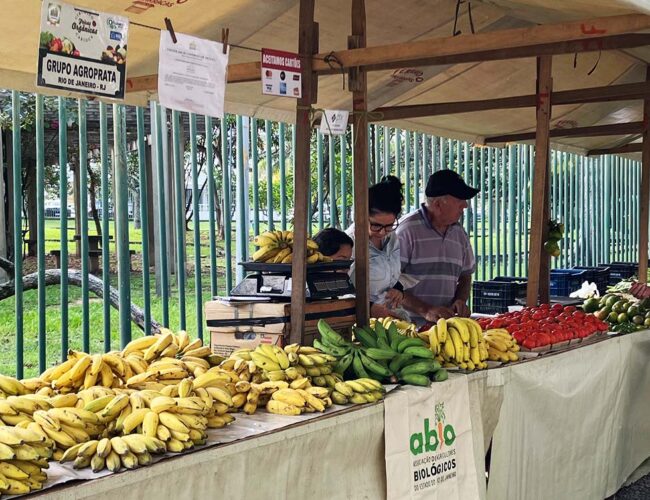 Circuito de feiras mudou o cenário da produção e do comércio de orgânicos no Rio de Janeiro