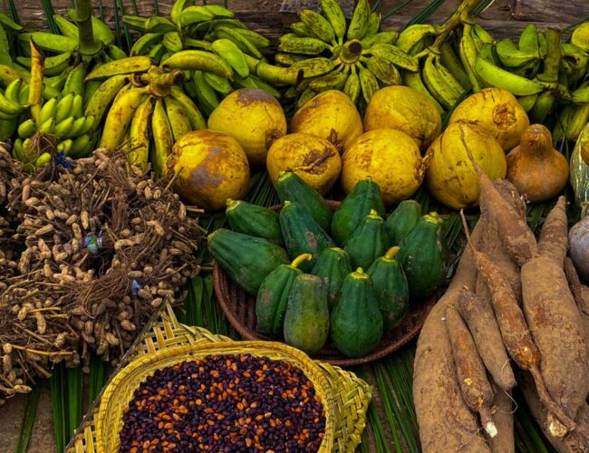 Nova regra do governo federal pode destravar compra de alimentos locais para escolas de povos tradicionais
