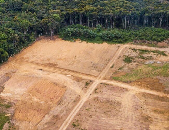 Tocantins pede manutenção de títulos de imóveis legalizados por lei derrubada pelo STF