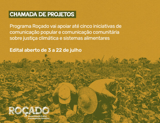 Edital de chamada pública O Joio e O Trigo/Roçado