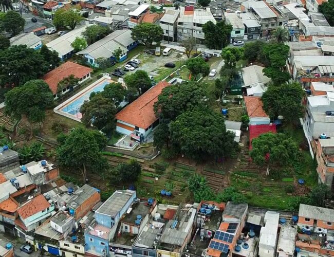 Antídoto aos desertos alimentares, hortas urbanas levam comida fresca para as mesas das periferias de São Paulo