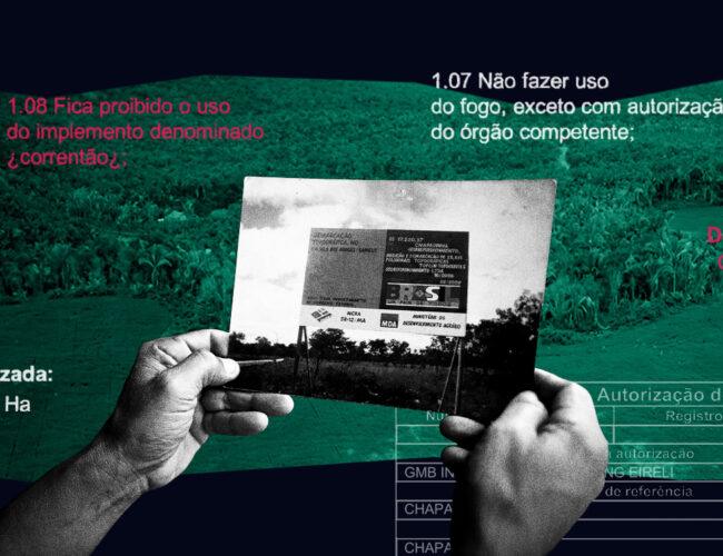 Desmatamento autorizado e aval do Incra à investidora de SP ignoram reivindicações de extrativistas no Cerrado