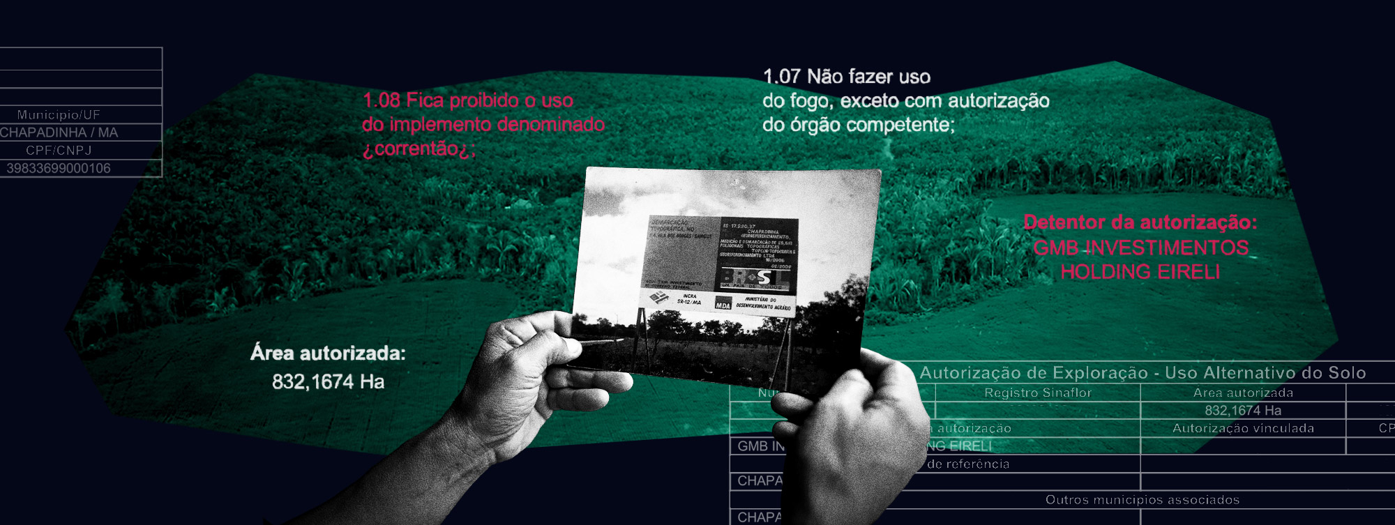 Desmatamento autorizado e aval do Incra à investidora de SP ignoram reivindicações de extrativistas no Cerrado