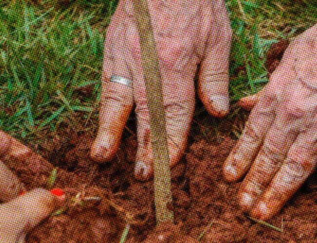 Lula 3 assenta 58,6 mil famílias, enquanto 113 mil aguardam por terra em acampamentos